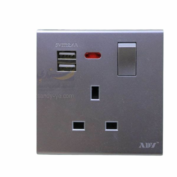 بلاكات 13 امبير اشارة مع 2 يو اس بي طيف ذهبي ADY K11ZBSL-2USB-13